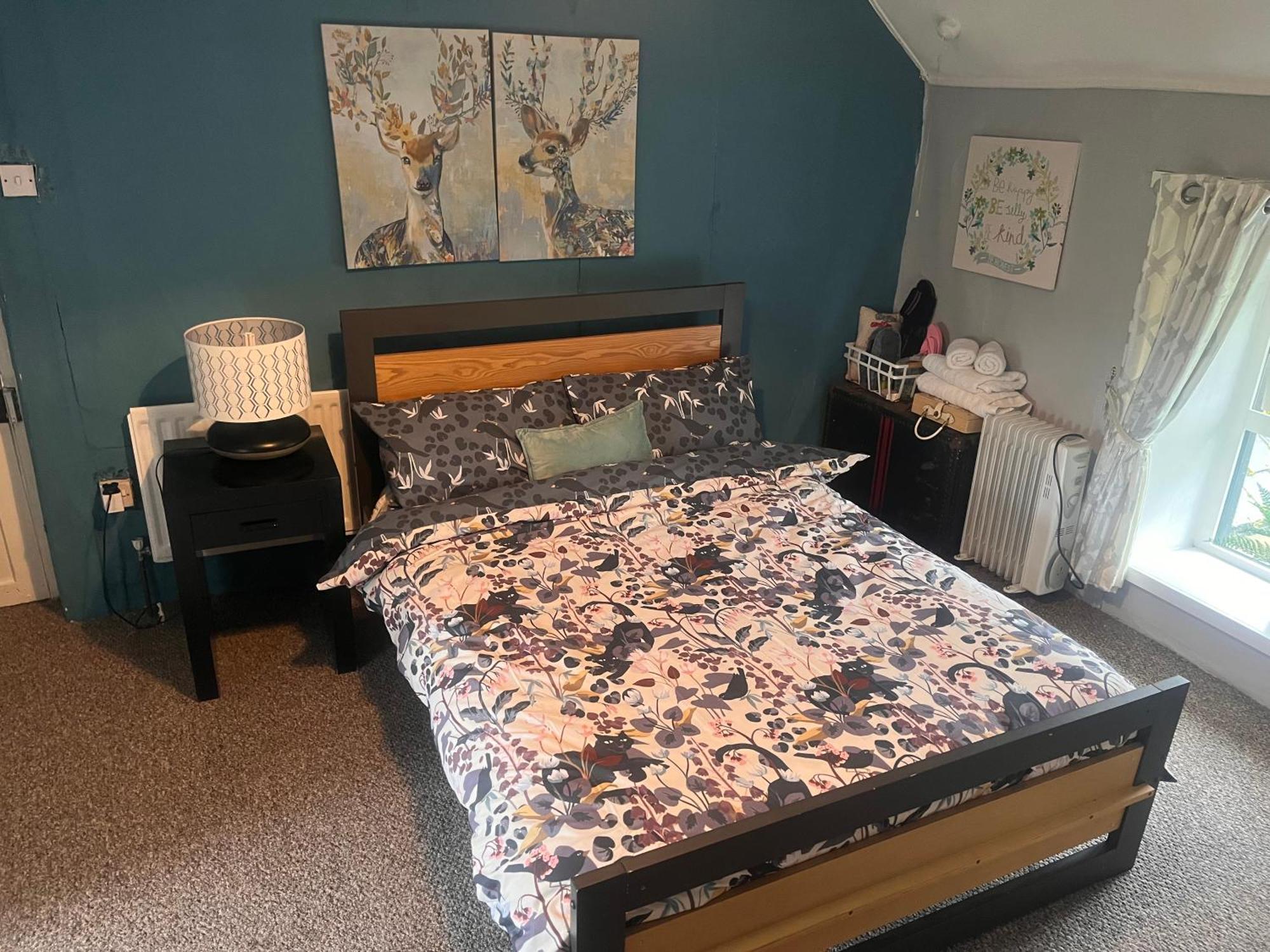סליגו Daffodil Lodge מראה חיצוני תמונה